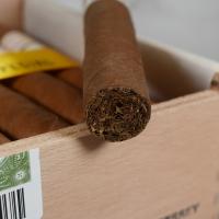 Hoyo de Monterrey Epicure Especial Cigar - 1 Single
