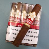 Joya de Nicaragua Flor De Nicaragua Robusto Cigar - Bundle of 20