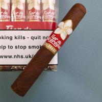 Joya de Nicaragua Flor De Nicaragua Robusto Cigar - Bundle of 20