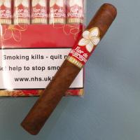 Joya de Nicaragua Flor De Nicaragua Toro Cigar - Bundle of 20