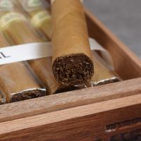 Joya de Nicaragua Clasico Torpedo Cigar - 1 Single