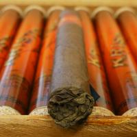 Kristoff Corojo Limitada Robusto Tubed Cigar - Box of 10