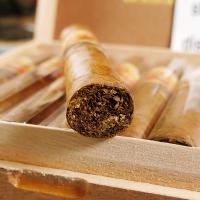 La Aurora 107 Nicaragua Robusto Cigar - 1 Single