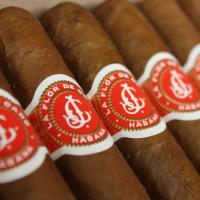 La Flor de Cano Elegidos Cigar - Box of 10