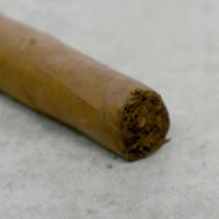 La Invicta Nicaraguan Petit Corona Tubed Cigar - 1 Single