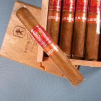 Leon Jimenes Petit Corona Caribbean (Rum) Cigar - Box of 10
