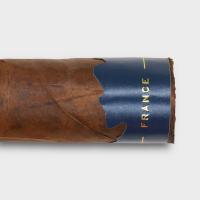 Macanudo Emissary France Robusto Cigar - 1 Single