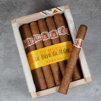 Hoyo de Monterrey Le Hoyo Du Maire Cigar - Cabinet of 25