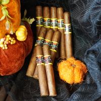 FLASH SALE - 8 + 2 Mitchellero Peru Robusto Extra SCARY Cigar Sampler - 10 Cigars