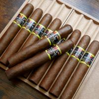 FLASH SALE - 8 + 2 Mitchellero Peru Robusto Extra Cigar Sampler - 10 Cigars