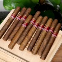 FLASH SALE - Humidor Top Up - Mitchellero Sporty Cigar Sampler - 10 Cigars