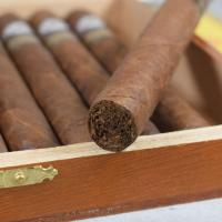 Montecristo Dantes Cigar (Limited Edition 2016) - 1 Single