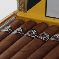 Montecristo Open J Cigar - Box of 20