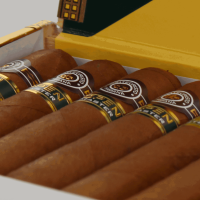 Montecristo Open Master Cigar - Box of 20