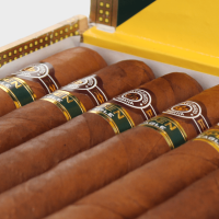 Montecristo Open Eagle Cigar - Box of 20