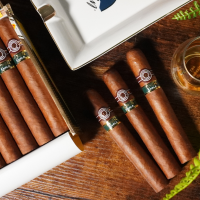 Montecristo Open Eagle Cigar - 1 Single