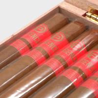 Plasencia Orchant Seleccion 2026 Exclusive Toro Cigar - Box of 8