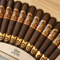 Oliva Serie V 135 Aniversario Edicion Real Cigar - 1 Single (Discontinued)