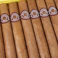 Montecristo Open J Cigar Box of 20 & Open Master Box of 20 (40 Cigars) Mixed Bundle Deal