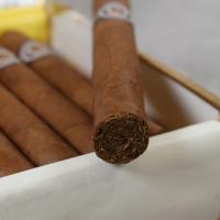 Montecristo Open J Cigar - 1 Single