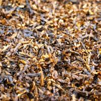 Gawith Hoggarth Rich Dark Spring Dew Mixture (Formerly Rich Dark Honey Dew) Pipe Tobacco (Loose)