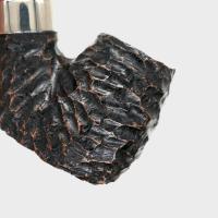 Peterson Derry Rustic 304 Nickel Mounted 9mm Filter Fishtail Pipe (P3120)