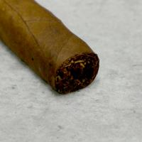 Padron No. 50 Family Reserve Maduro Cigar - 1 Single