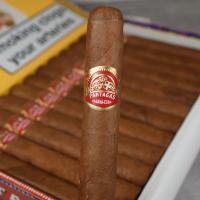 Partagas Petit Coronas Especiales Cigar - 1 Single