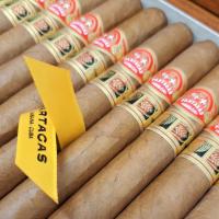 LCDH Partagas Aliados Cigar - Box of 20