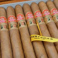 LCDH Partagas Aliados Cigar - Box of 20