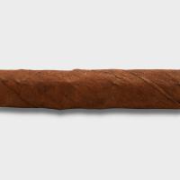 Partagas Club Cigarillos - 1 Single