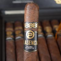 Plasencia Alma Fuerte Nestor IV Toro Cigar - 1 Single