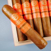 Plasencia Dominique Seleccion 2024 Exclusive Petit Dominique Cigar - Box of 25