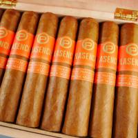 Plasencia Dominique Seleccion 2024 Exclusive Petit Dominique Cigar - Box of 50