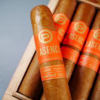 Plasencia Dominique Seleccion 2024 Exclusive Petit Dominique Cigar - Box of 50