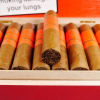 Plasencia Dominique Seleccion 2024 Exclusive Petit Dominique Cigar - Box of 50