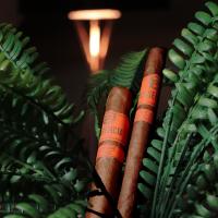 Plasencia Orchant Dominique Seleccion 2026 Sampler - 2 Cigars