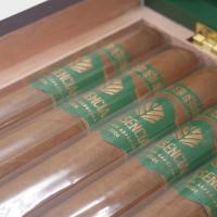 Plasencia Triunfal 2026 Limited Edition Toro Cigar - Box of 10