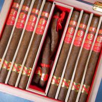 Plasencia The Year of the Snake Culebra Edicion Limitada 2025 Cigar - Box of 10 - LIMITED EDITION