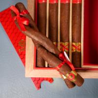 Plasencia The Year of the Snake Culebra Edicion Limitada 2025 Cigar - Box of 10 - LIMITED EDITION