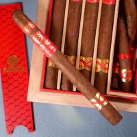 Plasencia The Year of the Snake Culebra Edicion Limitada 2025 Cigar - Box of 10 - LIMITED EDITION