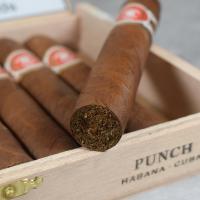 Punch Short de Punch Cigar - 1 Single