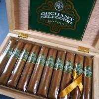 Rocky Patel Orchant Seleccion Petit Robusto - Box of 10