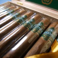 Rocky Patel Orchant Seleccion Petit Robusto - Box of 10