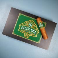 Rocky Patel Orchant Seleccion Petit Robusto - 2 x Box of 10 (20) Bundle Deal