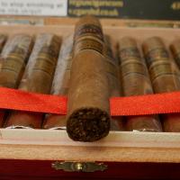 Regius Orchant Seleccion Nicaragua 2023 Robusto Cigar - 1 Single