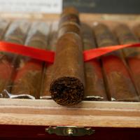 Regius Orchant Seleccion Nicaragua 2023 Hermoso Cigar - 1 Single