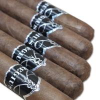 Regius Reserva Robusto Cigar - Bundle of 5