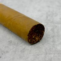 Zino Nicaragua Robusto Cigar - 1 Single