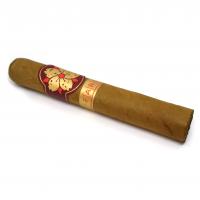 Room 101 Farce Connecticut Robusto Cigar - Box of 20